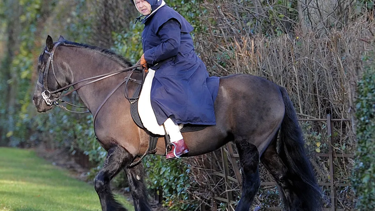 Regele Charles al III-lea vinde caii moșteniți de la mama sa. Cele 14 iepe vor fi scoase la licitație