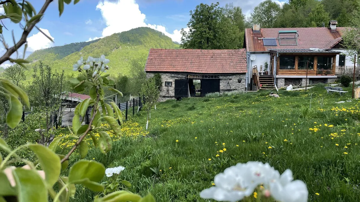 Românii care nu au declarat fosa septică la primărie riscă de marţi amenzi de 10.000 de lei