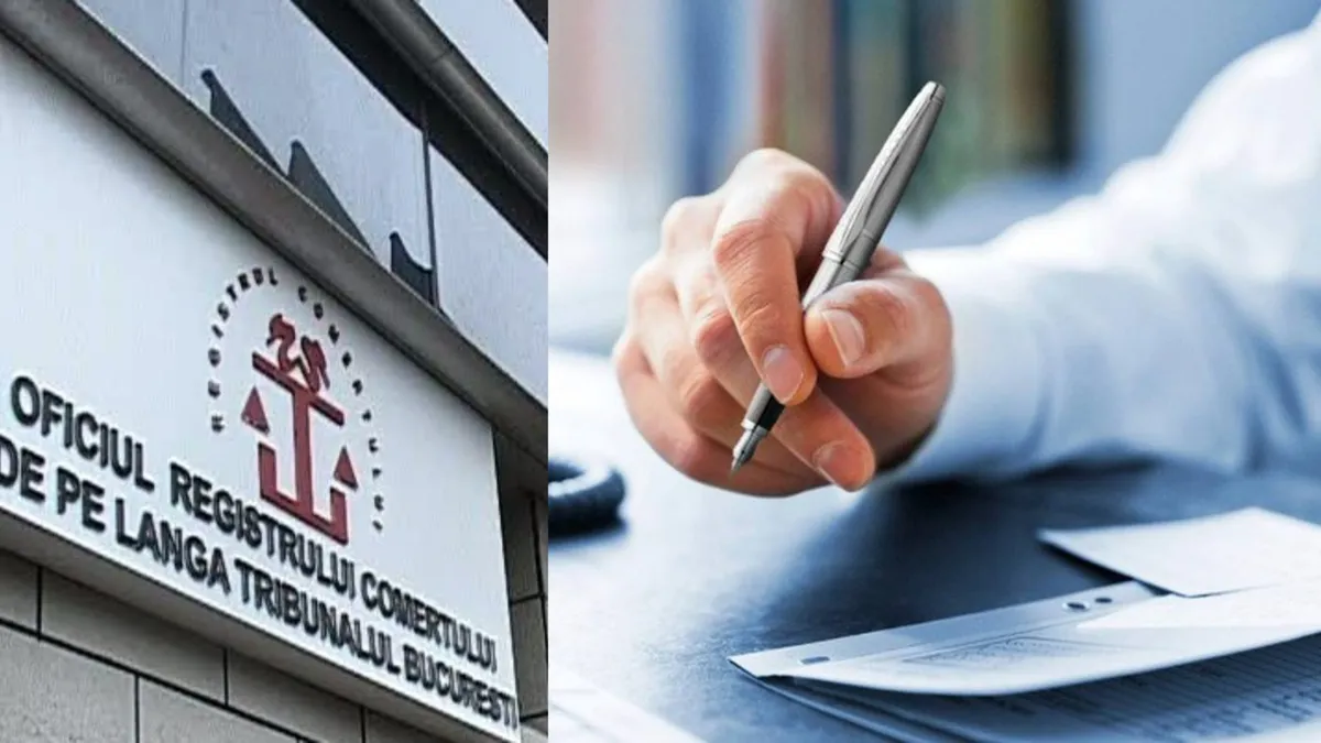 Aproape 11.000 de firme și-au suspendat activitatea în 2022