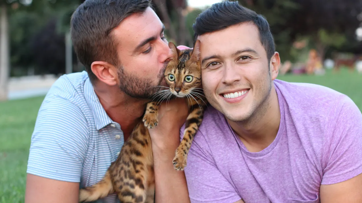 Oamenii frumoși pot fi infectați cu un parazit transmis de pisici. Acesta modifică creierul și le face mai atractive pentru a crește șansele de reproducere sexuală, arată un studiu