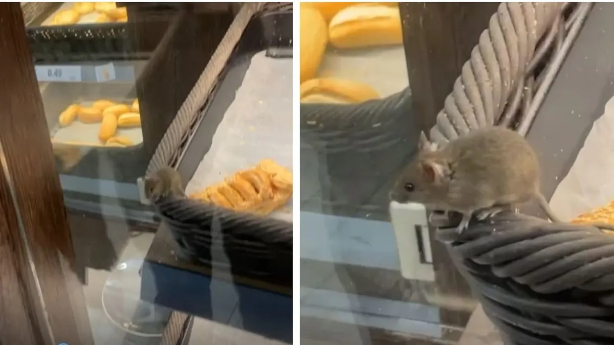 Șocant! Ce au descoperit clienții magazinului LIDL printre rafturi. Totul a devenit viral