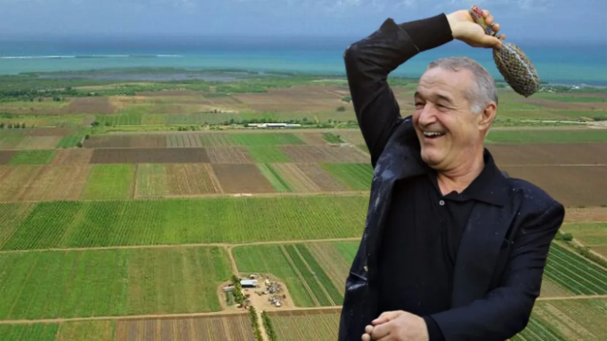 Gigi Becali a spus ce vrea sa facă pe cele 860 de hectare luate în arendă! „Mă gândesc să cresc acolo cel puțin 20.000 de oi, să fie o afacere integrată, cu agricultură”