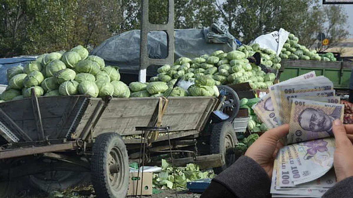 Prețuri ieșite din comun de mici pentru varza de la Lungulețu