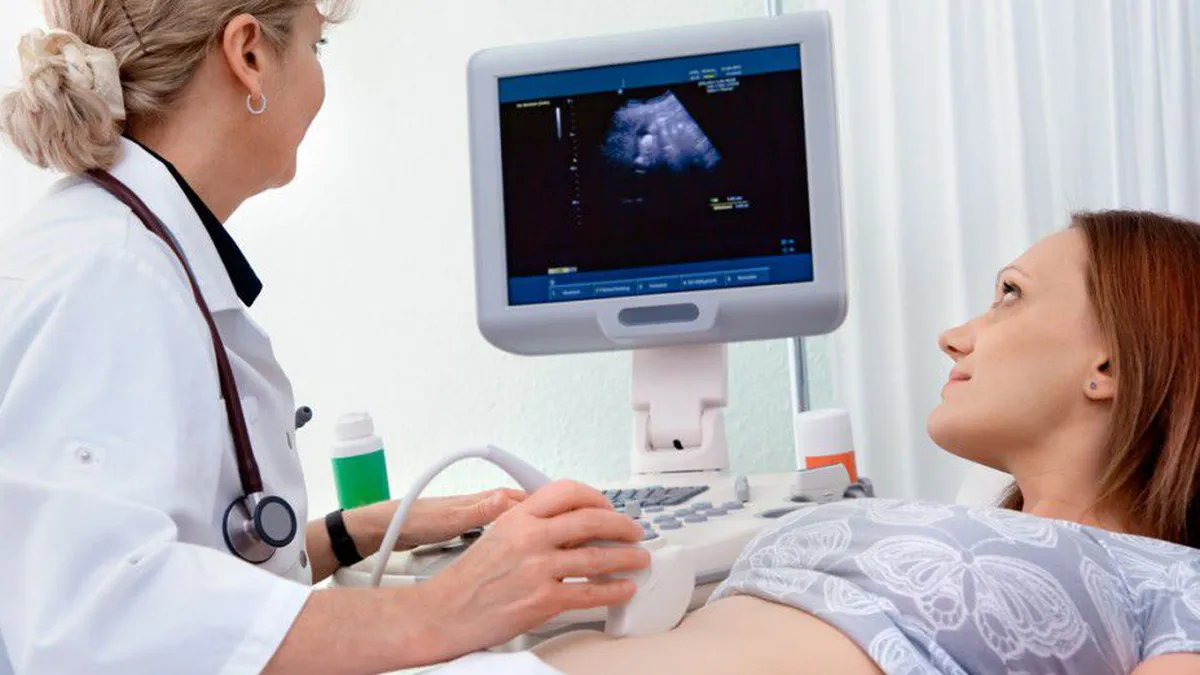 Firea, despre extinderea la nivel naţional a programului FIV: Am primit deja 3.400 de solicitări