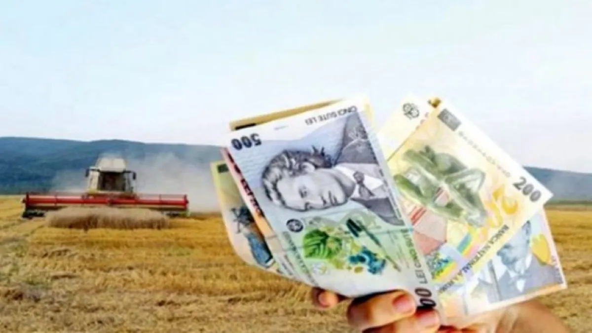 APIA a aprobat toate plățile pentru fermieri! Iată lista completă a subvențiilor de care poți beneficia atât de simplu!