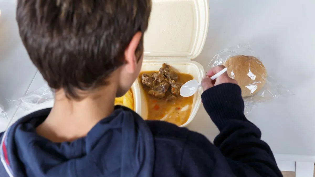 În Gorj, copiii sunt atrași la școală cu .... mâncare gătită! Programul este unul de succes, întrucât absenteismul a scăzut