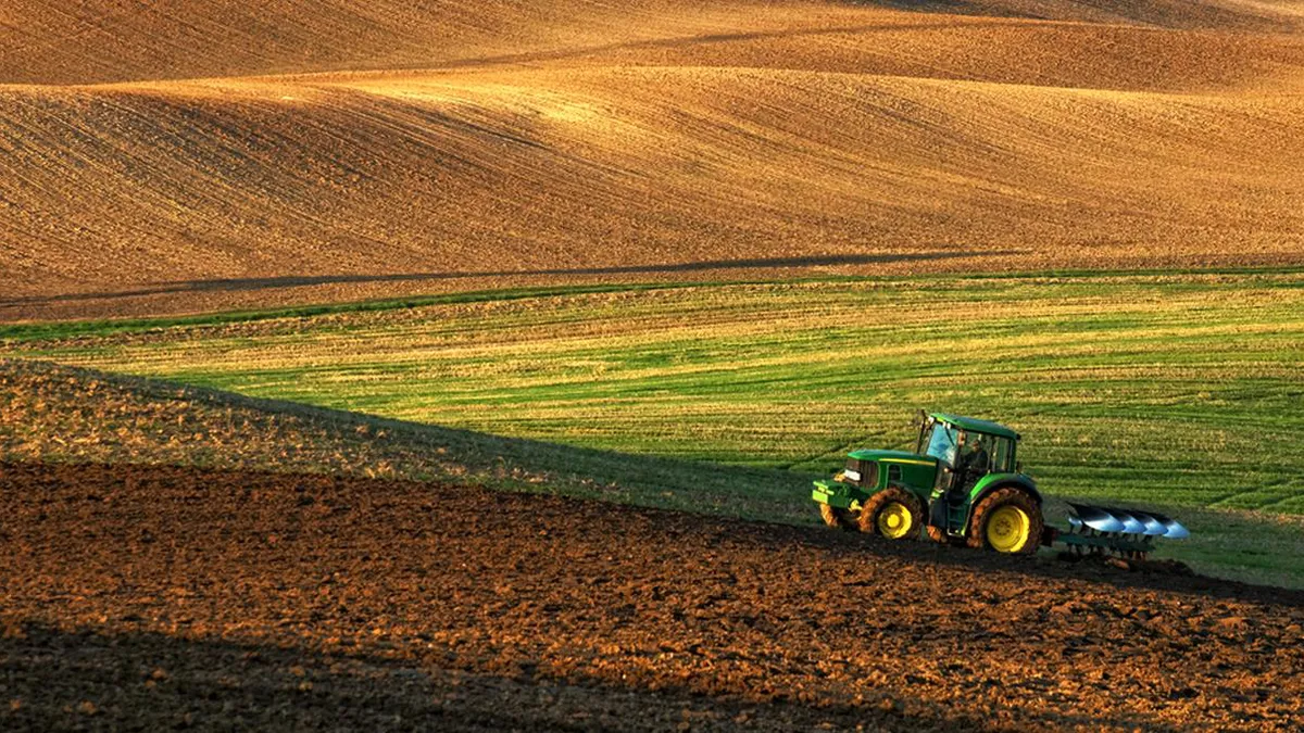 Numărul fermelor din România a scăzut. În prezent mai avem 2,8 de milioane de exploatații agricole, cu aproximativ 1 milion mai puține față de recensământul anterior