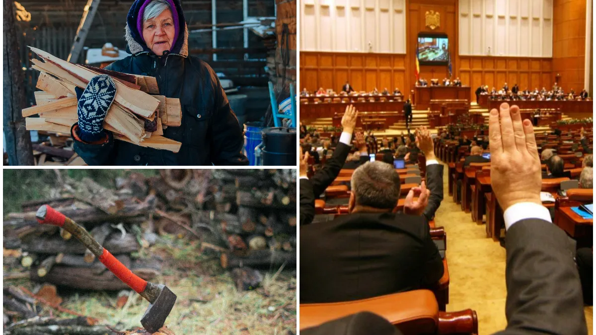 O nouă hotărâre majoră de Guvern! Ce se va întâmpla cu valorificarea lemnului