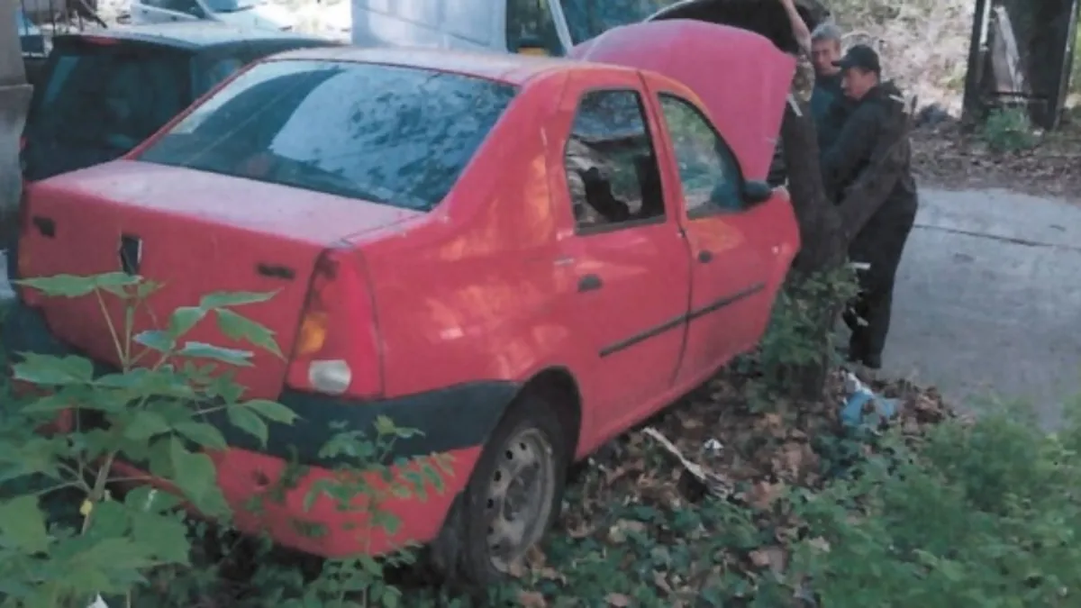 ANAF scoate la vânzare mai multe mașini. Cu cât poți cumpăra o Dacia Logan din 2005 licitată de fisc?