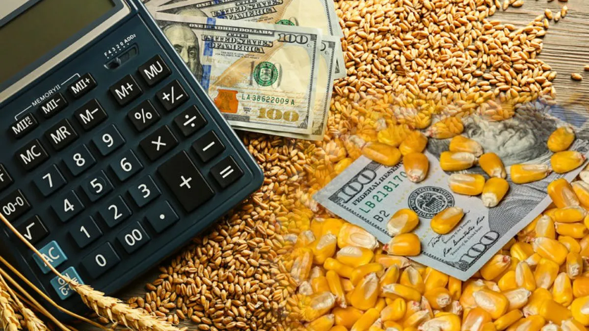Prețurile cerealelor rămân sub presiune! Grâul și porumbul ajung la sume îngrijorătoare