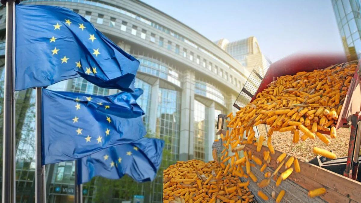 Invazia cerealelor ieftine din Ucraina duce la nemulțumiri. Mai multe țări, printre care și România, s-au plâns la Bruxelles