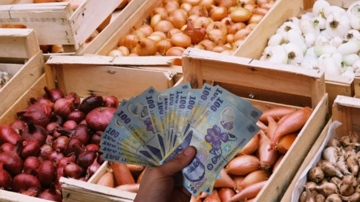Fermierii explică de ce se confruntă România cu criza cepei. „Acum, ceapa care e nouă pe piaţă, e produsă în sere şi costurile sunt mai mari”
