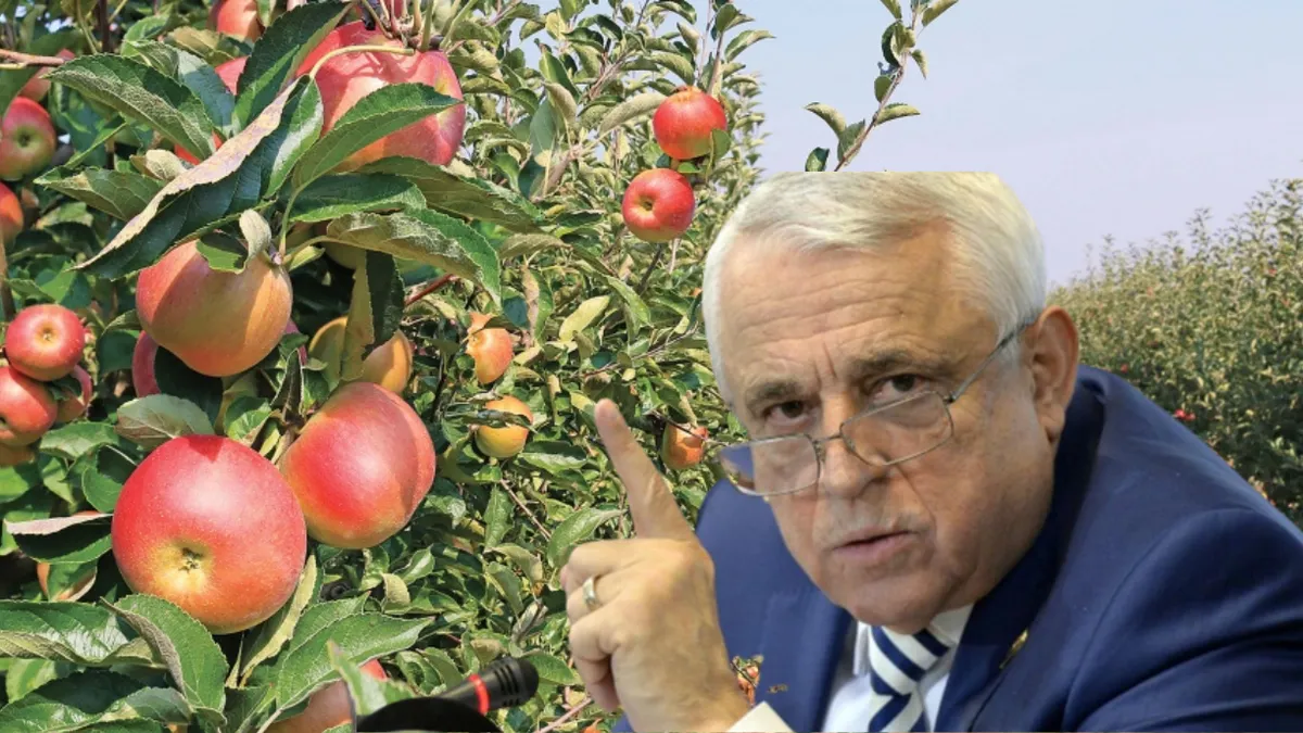 Șansă mare pentru România! Petre Daea a anunțat refacerea patrimoniului pomicol al statului român