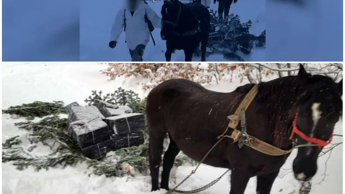 Incredibil! Traficanți prinși de vameși în timp ce transportau țigări de contrabandă cu ajutorul unui cal