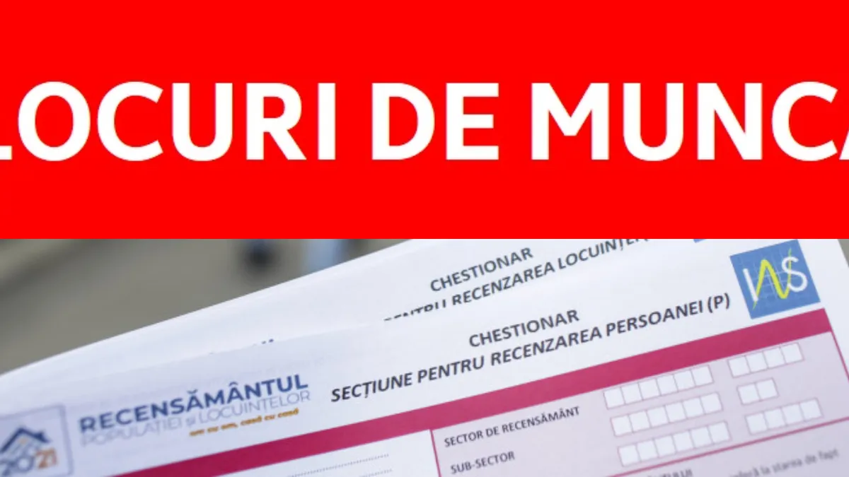 Munca nu e pe placul românilor. INS anunță că doar 8,2 milioane de oameni lucrează în România. Care sunt județele aflate la coada listei
