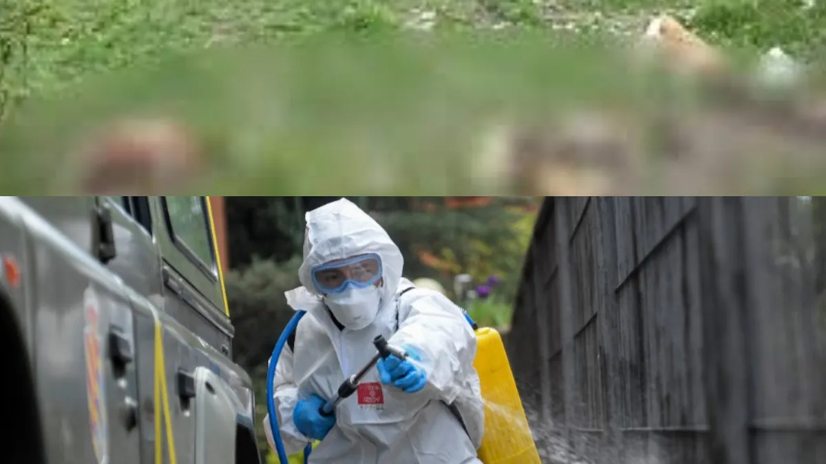 Focar de septicemie virală în România! Autoritățile au izolat zona. Plan roșu de măsuri