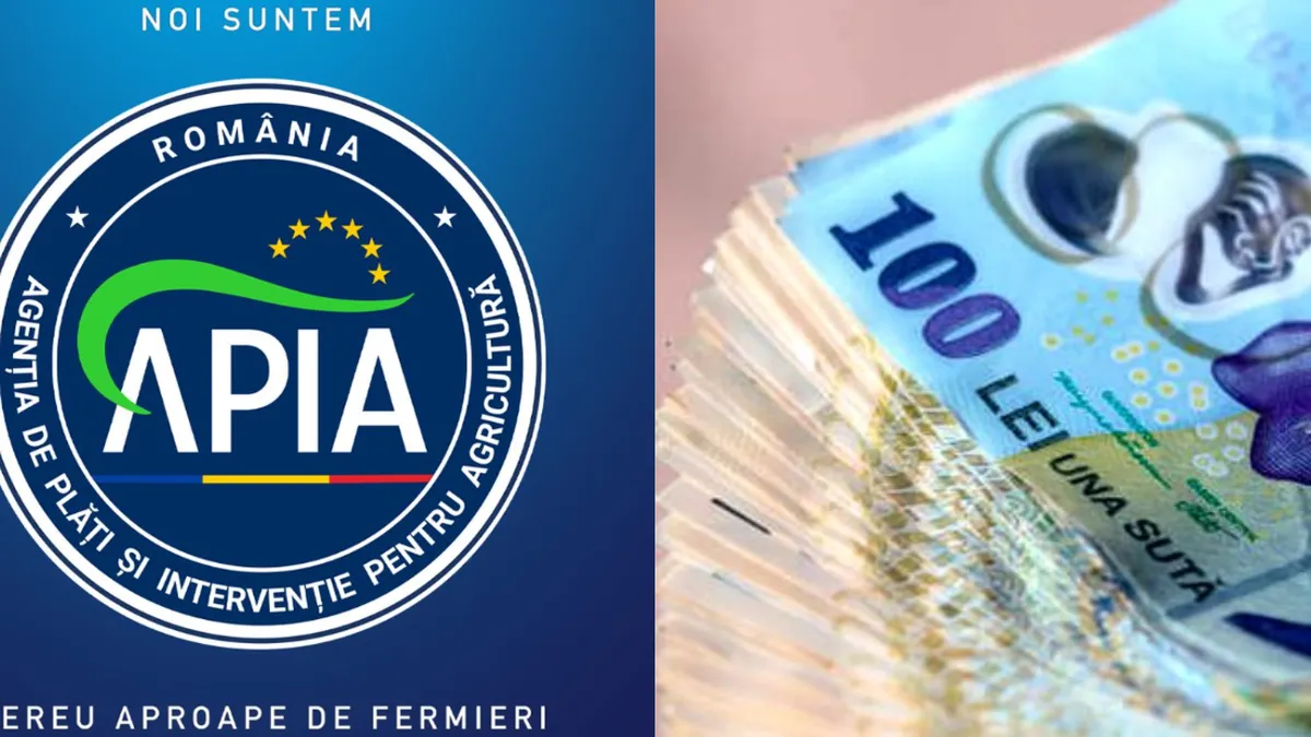 Cresc salariile funcționarilor APIA. Unele ajung și la 16.000 de lei. Ce angajați se încadrează