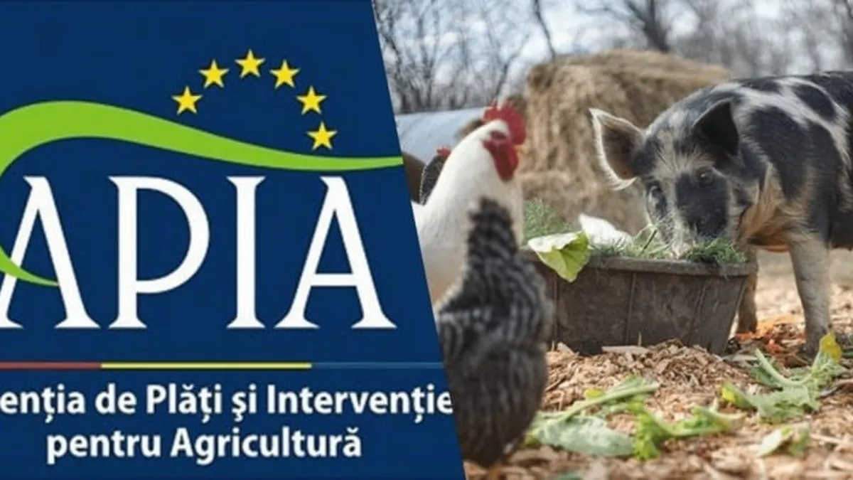 Noi norme pentru crescătorii de animale. Acestea sunt obligatorii dacă vor să încaseze bani de la APIA. Schimbări de la personalul fermei până la metodele de creștere