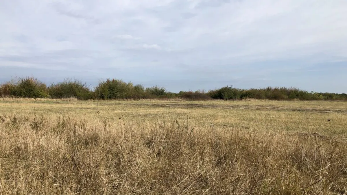 Terenurile României vor fi concesionate. Se vor planta panouri fotovoltaice pe cele care nu mai pot fi folosite în agricultură. 12.000 de hectare se pregătesc să genereze energie