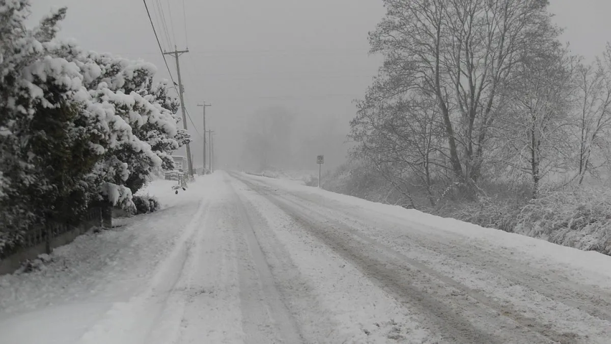 Meteorologii anunță data la care ninsorile revin în România. ANM: „Fenomene de instabilitate atmosferică, iar în zonele montane vor apărea ninsorile”