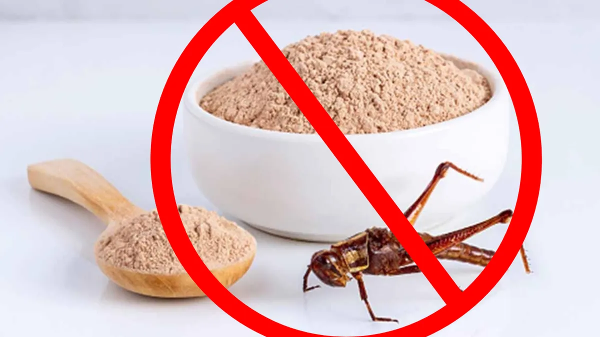 Prima țară care interzice folosirea făinii de greieri în mâncare. Motivul care a determinat conducerea să ia decizia drastică