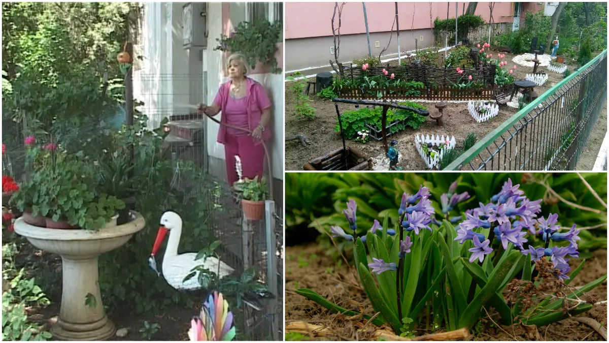 Amendă de până la 2.500 de lei pentru românii care locuiesc la bloc. Regulile pe care proprietarii și chiriașii trebuie să le respecte