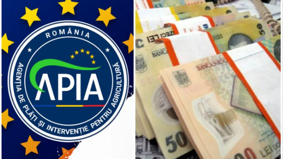 Noi plăți APIA pentru crescătorii de animale. MADR anunță cum poți primi banii