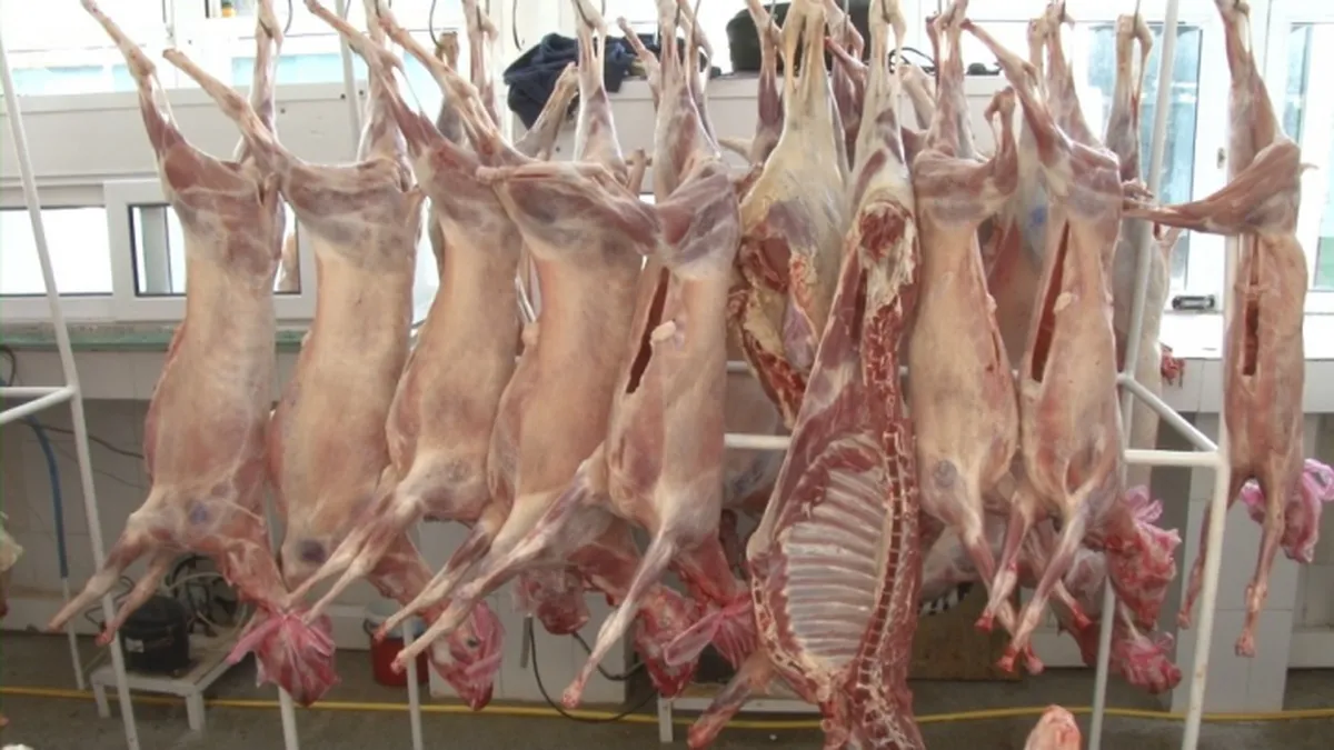 Carnea de miel, mai scumpă de Paște 2023. Fermierii spun că sunt nevoiți să crească prețurile: ”Cred că va fi mai mare cu cel puțin 30 la sută. Nu putem altfel pentru că au fost costuri mai mari anul acesta”