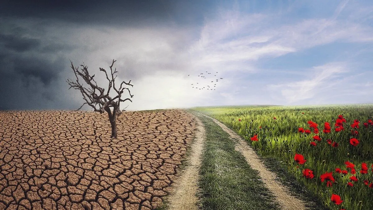 Ministerul Economiei este în alertă! Clima ar putea aduce costuri de până la 910 miliarde de euro până în 2050