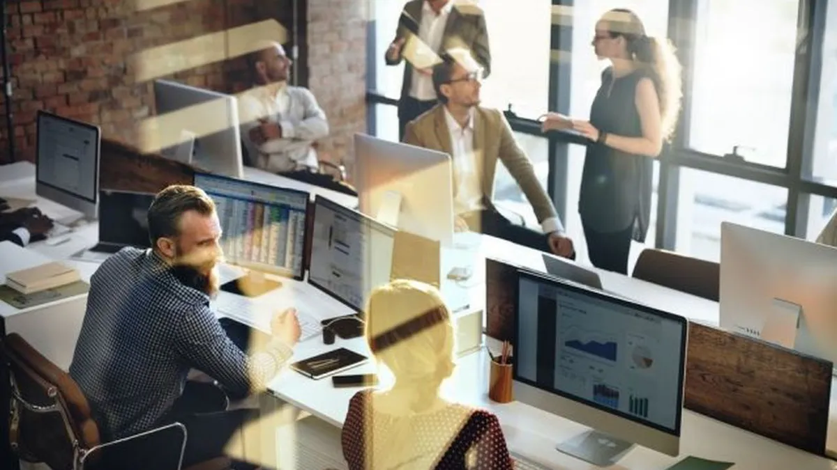 Cât câștigă un specialist în sustenabilitate. Cele mai multe anunțuri de angajare sunt în București