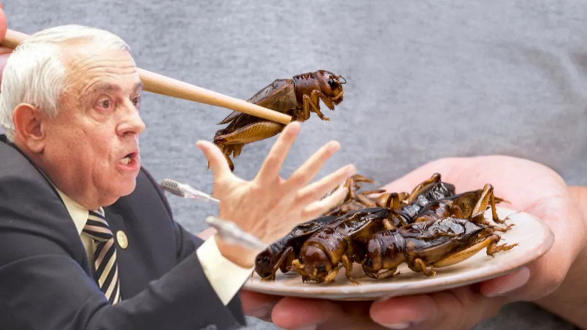 Vor fi obligați românii să renunțe la carne și să consume doar insecte? Petre Daea a răbufnit! „Saturi stomacul cu ceea ce îi este necesar”