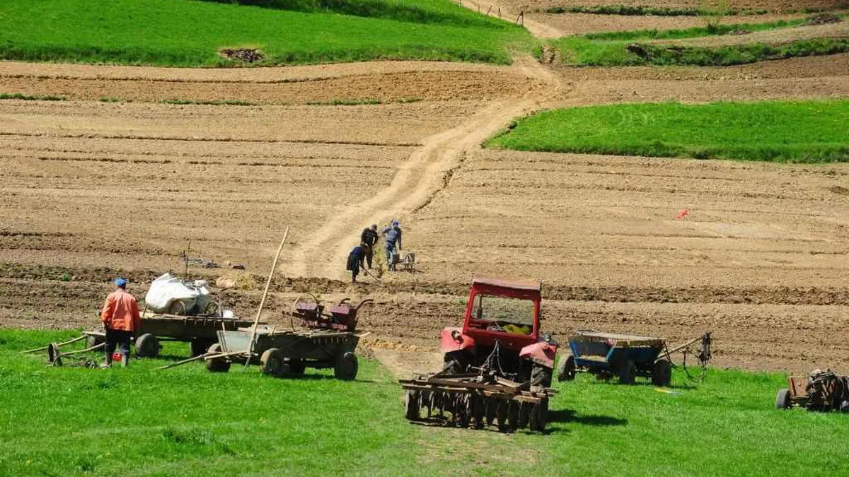 Cum se impozitează vânzările de terenuri agricole. Actul normativ emis de ANAF a fost publicat în Monitorul Oficial