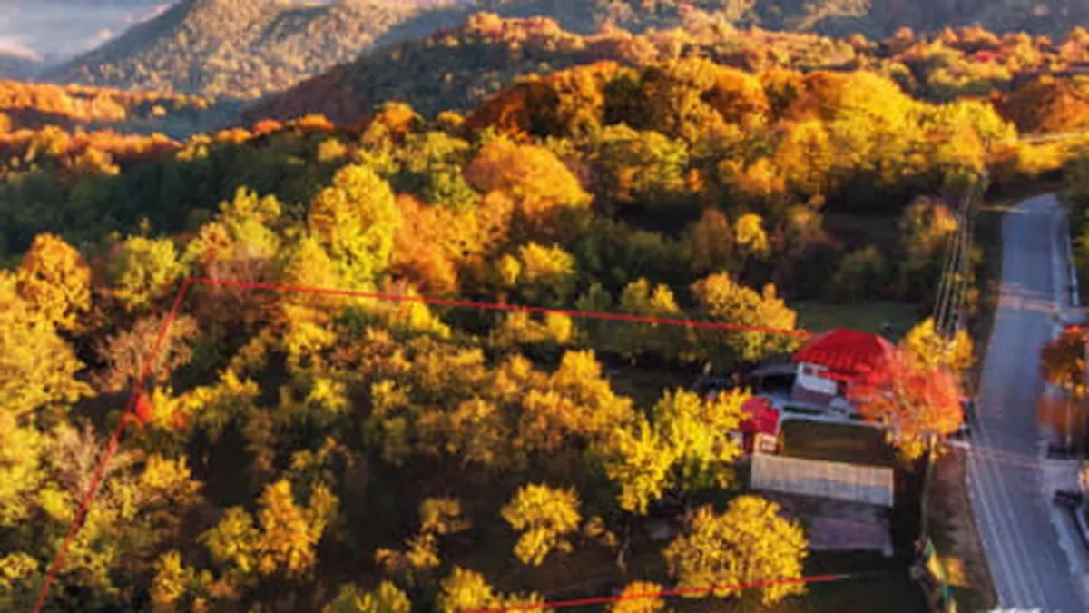 Ei sunt românii care și-au găsit casa visurilor în vârf de deal. Decizia a venit după carantina din timpul pandemiei „În natură, pandemia și mai ales carantina din 2020 au avut un efect devastator asupra noastră”