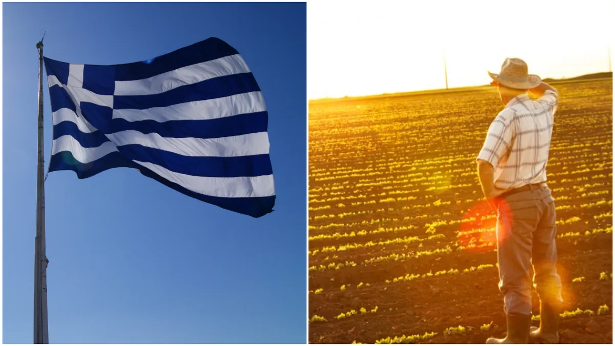 Producția agricolă este bogată, dar forța de muncă lipsește. Grecia este pusă în dificultate de numărul redus de muncitori