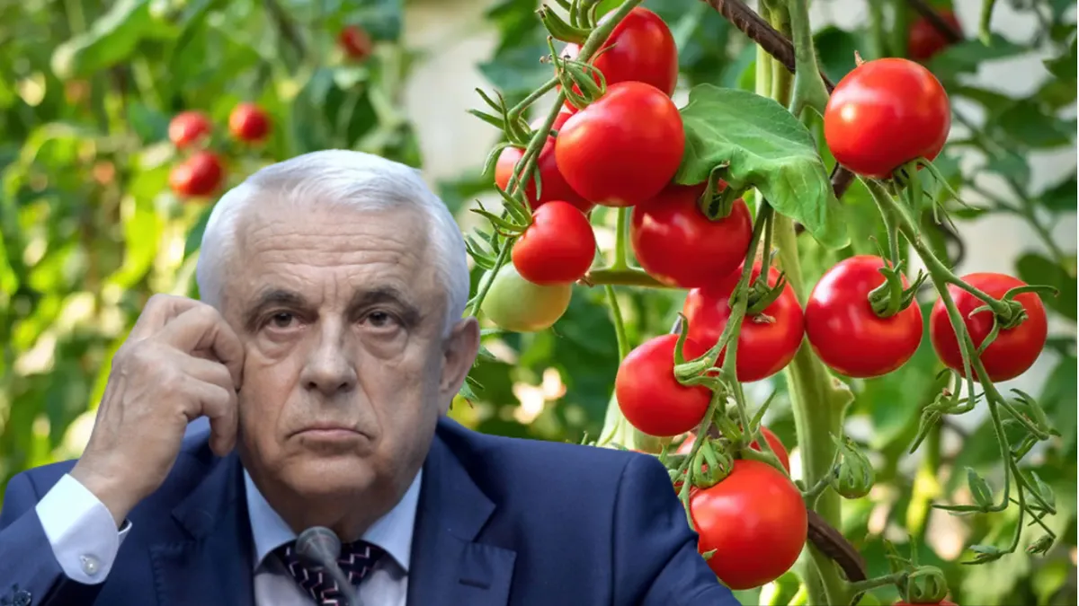 Tot mai mulți tineri fermieri sunt interesați de Programul Tomata. 32% din producătorii înscriși au până în 40 de ani