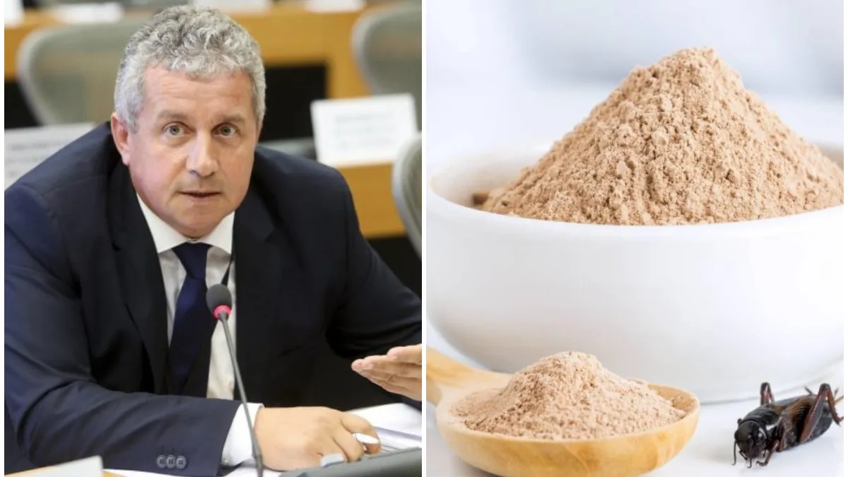 Daniel Buda intervine în disputa consumului de produse din greieri. Europarlamentarul: „Nimeni nu ne obligă să consumăm niciun fel de produs dintre cele despre care noi am vorbit”