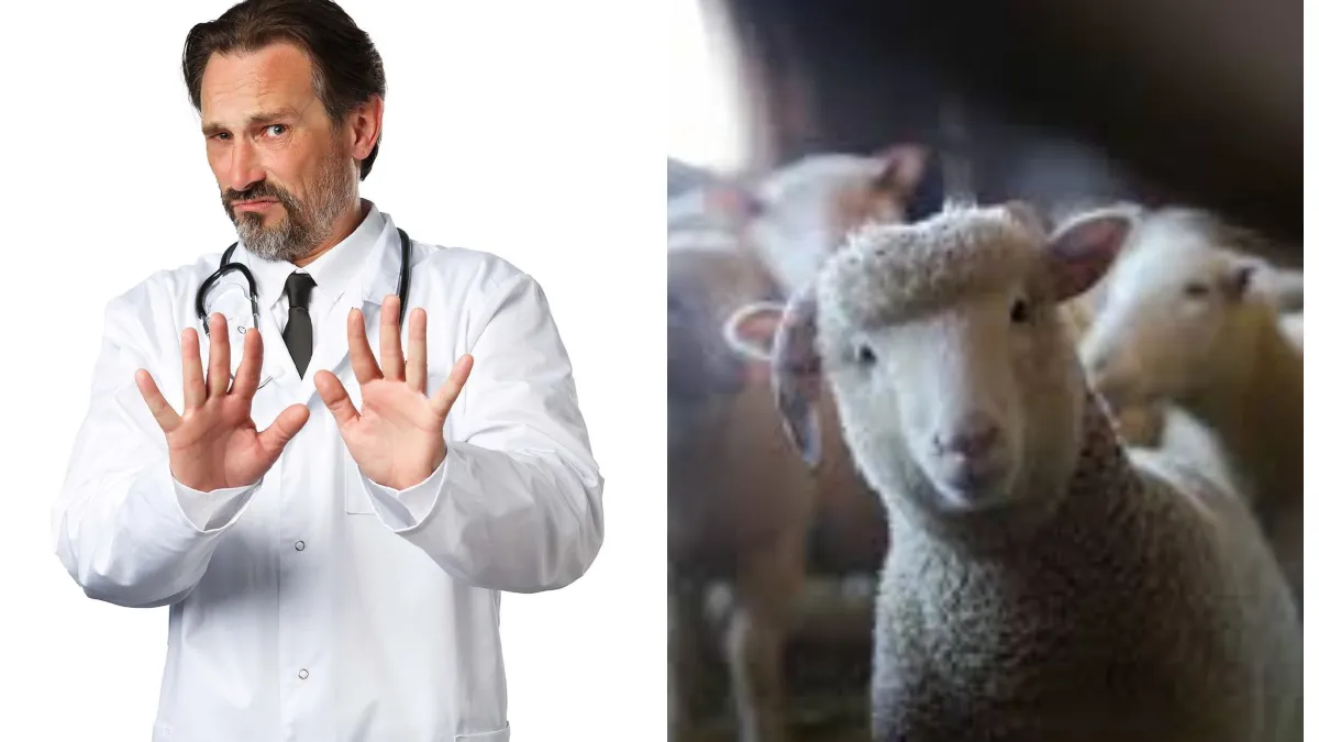 Avertizări din partea medicilor! Ce riscuri pentru sănătate poate avea carnea de miel? „Poate deveni toxică în anumite condiții”