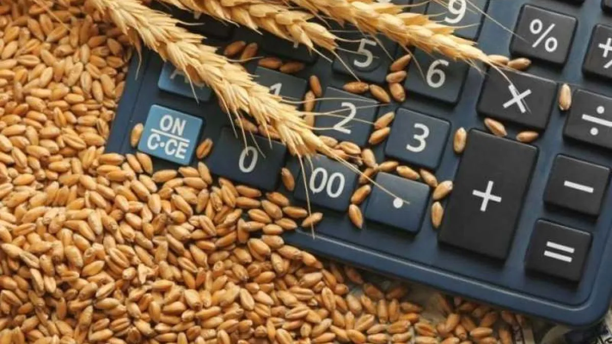 Record! România a exportat cereale și preparate pe bază de cereale în valoare de 293,8 milioane euro. Date oficiale INS