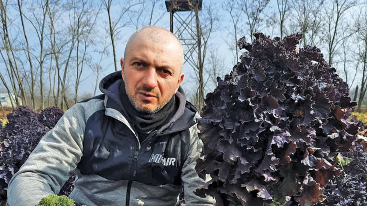 Frații Toma Sparanghel își câștigă existența, pe lângă locul de muncă, cu o afacere exotică. Ce legumă produc și vând cei doi români, după care toți clienții sunt în mare căutare