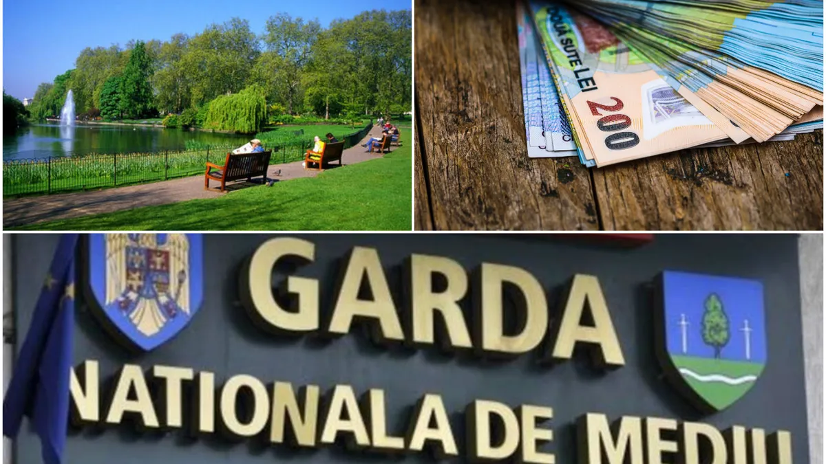 Amenzi de până la 80.000 de lei în Capitală. Garda Naţională de Mediu ia măsuri serioase pentru cei care afectează spațiile verzi și copacii