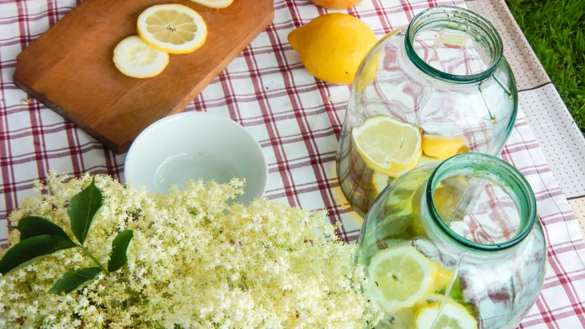 Prețul unui pahar de socată în restaurantele din România. Surpriza sezonului se vinde cu peste 10 lei