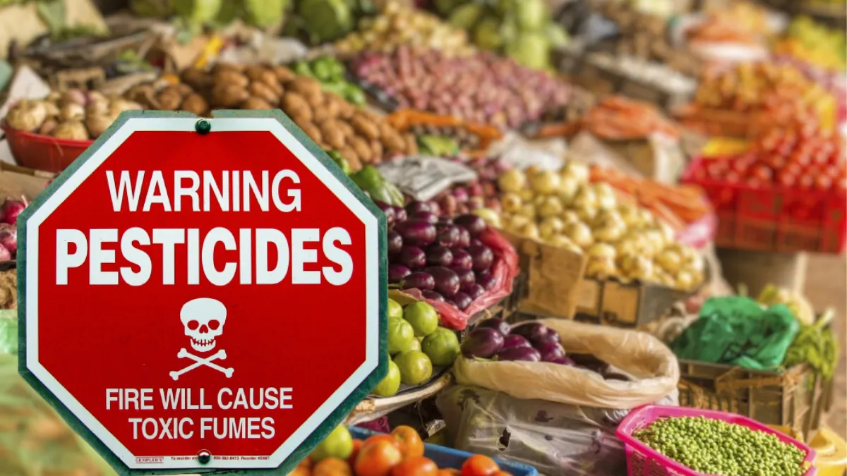 Plouă cu controale în piețe! Un legumicultor scoate scandalul pesticidelor la iveală și acuză ANPC că nu-și face treaba „Este o problemă care nu va fi rezolvată, câtă vreme ANPC-ul nu are laboratoare de analiză”