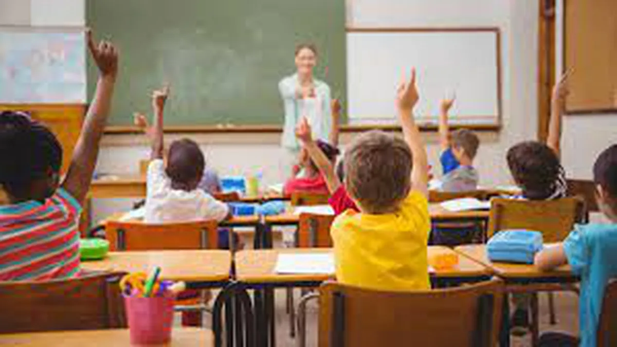 Legile Educației au fost aprobate de Senat odată cu greva declanșată de profesori. Proiectul merge mai departe pentru promulgare