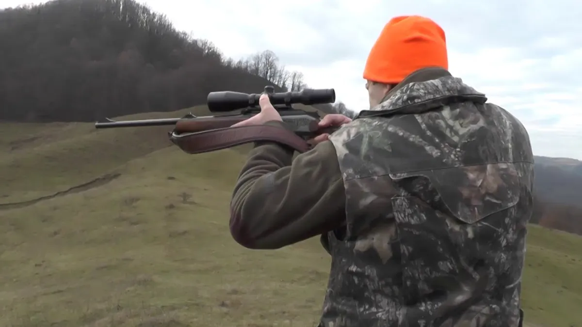 Agricultorii sunt în extaz! S-a dat liber la vânătoarea acestei specii. Această pasăre este unul dintre cei mai mari dăunători pentru culturi