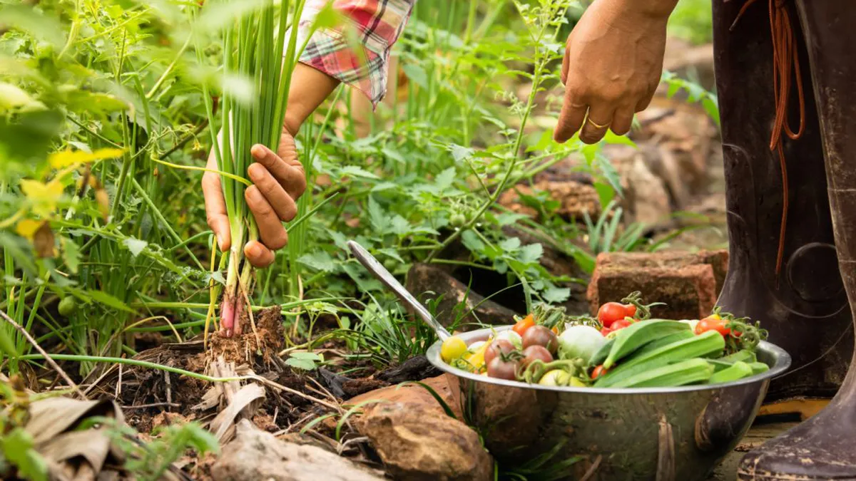Vin vești proaste pentru fermieri! Condiții mult mai dure pentru sprijinul acordat din fonduri UE „Este o bătălie pe care noi am dus-o și nu am reușit să o câștigăm”