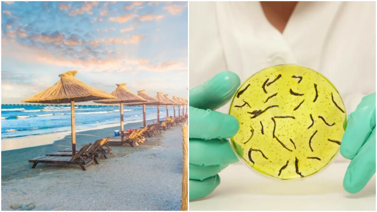 Alerta de holeră în Marea Neagră ar putea anula concediile românilor! Cum a ajuns boala infecțioasă în mare și ce trebuie să știe despre ea cei care merg pe litoral