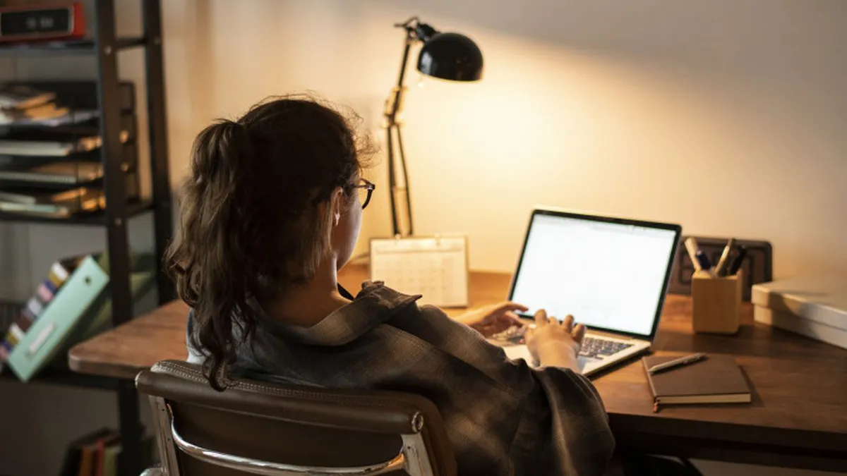 Pentru ce plătesc românii internetul. Topul celor mai întâlnite activități în mediul online