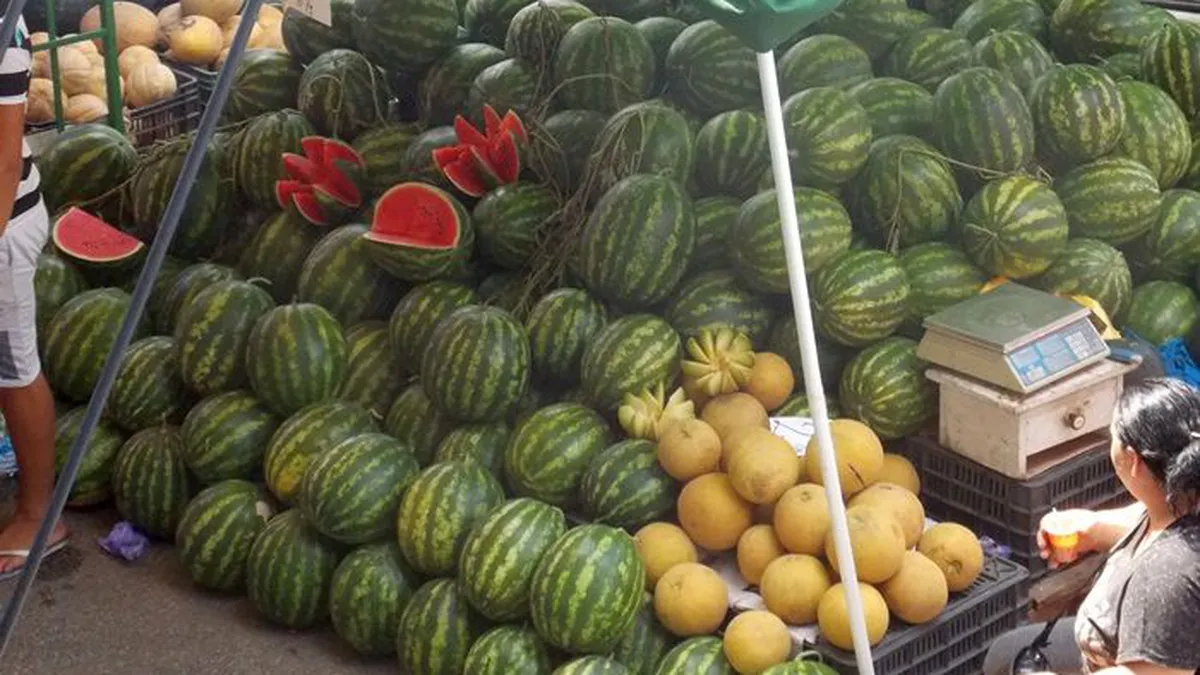 Pepenii de Dăbuleni, pregătiți să fie scoși la vânzare. Prețul, dictat de importurile din Grecia și Turcia