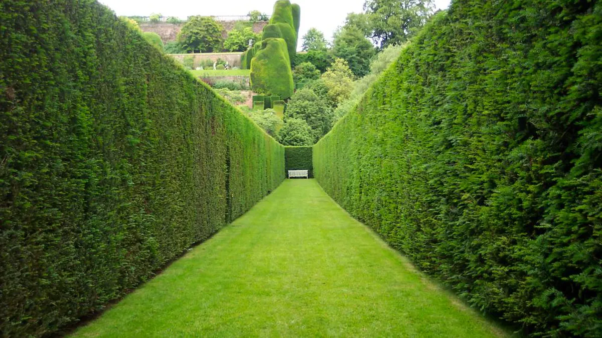 Munca în străinătate îi face pe români mai creativi. Vin cu idei de peste hotare și le aplica în România „Am lucrat în Danemarca și Germania mi-a plăcut mult conceptul”