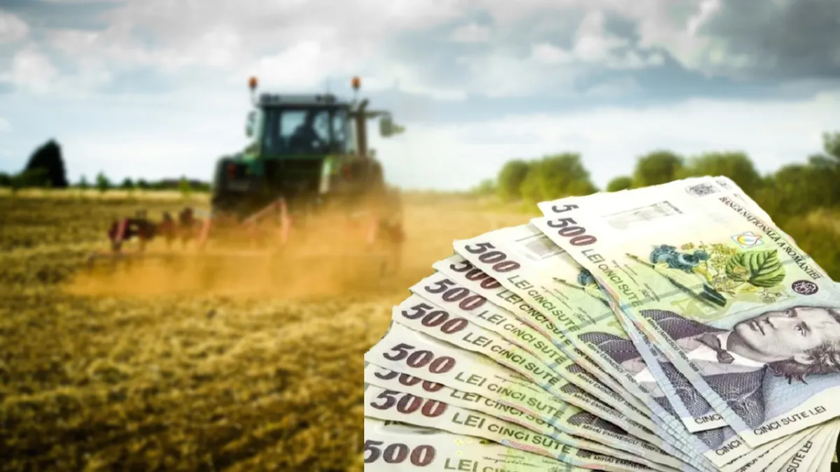 APIA a început plăţile pentru fermierii care cultivă cereale, se dau ajutoare de 20 de milioane de euro!